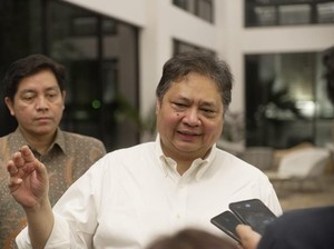 Jurus Airlangga Percepat Status RI Jadi Anggota OECD