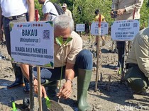 Kementerian LHK Tanam Seribu Bibit Mangrove di Teluk Kupang