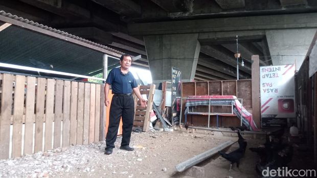Peternak Jago Karah Farm Surabaya