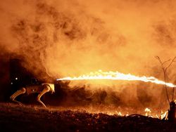 Robot Anjing Penyembur Api, Gahar!