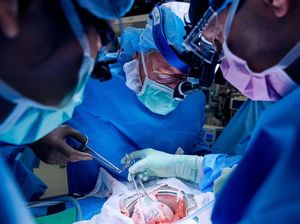 Nasib Penerima Cangkok Ginjal-Jantung Babi, Penolakan Organ Berujung Kematian