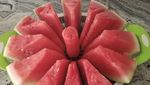 10 Produk Dapur yang Lagi Tren di TikTok, Serba Praktis!