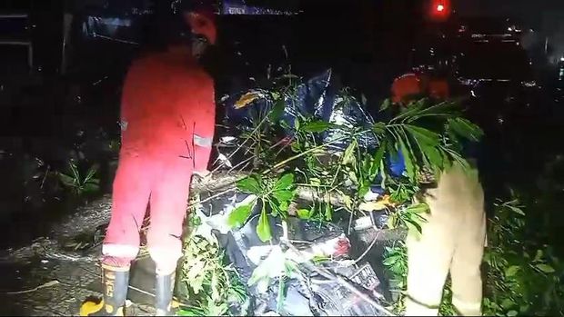 Evakuasi pohon tumbang yang timpa motor di Terminal Baranangsiang, Kota Bogor.