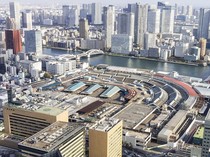 Pasar Ikan Tsukiji Bakal Dilengkapi dengan Stadion hingga Hotel