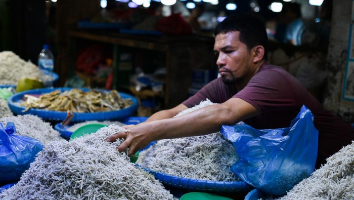 Pedagang menata ikan teri yang dijual di Pusat Pasar Medan, Sumatera Utara, Kamis (25/4/2024). Berbagai jenis ikan teri tersebut dijual Rp75.000 hingga Rp160.000 per kilogram dan menjadi salah satu oleh-oleh khas Kota Medan. ANTARA FOTO/Fransisco Carolio/aww.