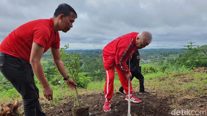 Anggota DPR RI fraksi PDIP Rachmat Hidayat saat kegiatan menanam pohon beberapa waktu yang lalu.
Foto: Istimewa (Dok DPD PDIP NTB)