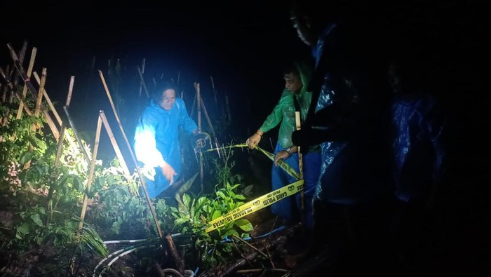 2 Pria Tanam Ganja di Kaki Gunung Latimojong Enrekang Ditangkap Polisi