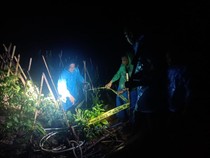 2 Pria Tanam Ganja di Kaki Gunung Latimojong Enrekang Ditangkap Polisi