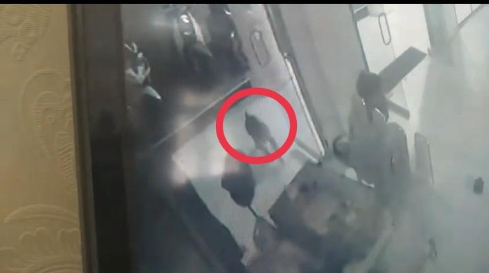 Tangkapan layar rekaman CCTV monyet liar serang petugas jaga di kantor DPRD Kota Tanjungbalai.