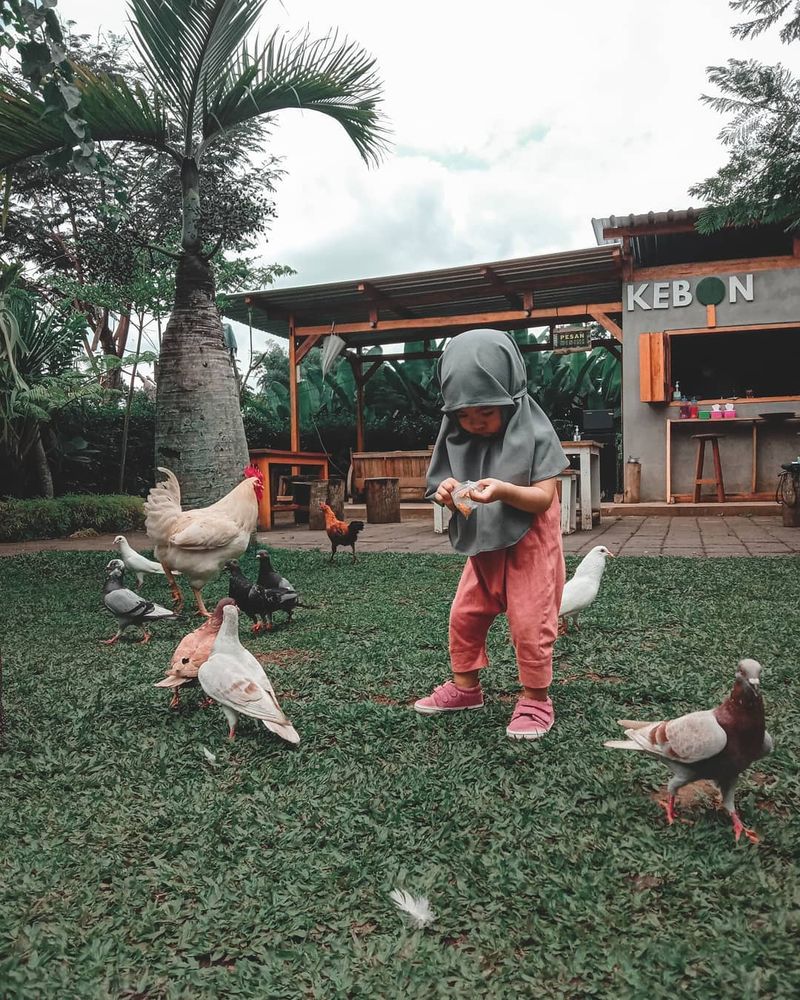 Tempat makan ramah anak di Malang: Kebon Tr.
