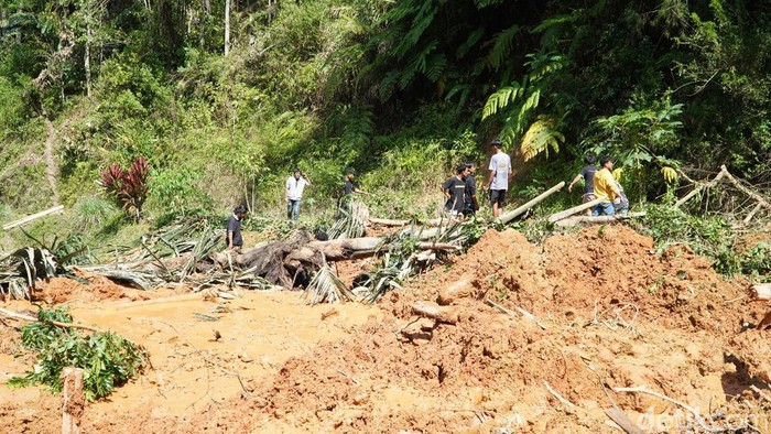 Tragedi Longsor Timpa Pejalan Kaki di Toraja Utara Tewaskan 2 Orang-1 Hilang