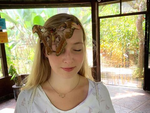 Wisatawan berkunjung ke taman kupu-kupu Bali Butterfly Park di Desa Wanasari, Kabupaten Tabanan. (Instagram @balibutterflypark)