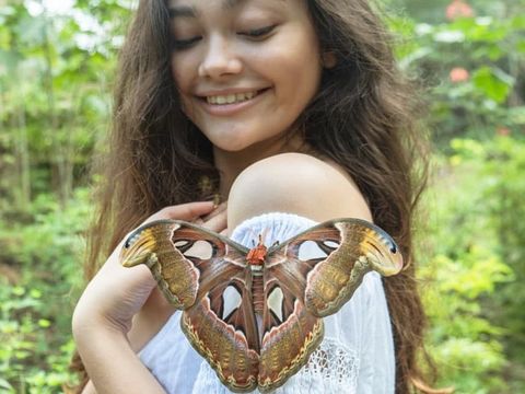 Wisatawan menikmati keindahan kupu-kupu di Bali Butterfly Park. (Instagram @balibutterflypark)
