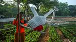 Kreatif! Limbah Botol Plastik Disulap Jadi Patung Soang