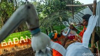 Rencananya nanti akan dibuatkan gapura, perahu hingga soang yang berasal dari limbah botol plastik.  