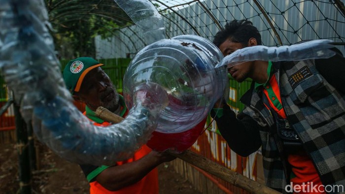 Wow! Limbah Botol Plastik Dosulap Jadi Patung Soang Petugas UPK Badan Air Kecamatan Penjaringan mengubah limbah botol plastik jadi patung soang. Patung soang itu diletakan di Taman Waduk Pluit untuk mengusir hama.