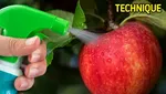 10 Trik Iklan Agar Makanan Tampil Lebih Menggugah Selera