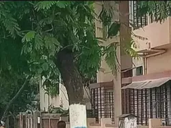 Bahaya Lihat Foto Ini Sekilas! Bikin Mata Terkecoh dan Salah Tafsir