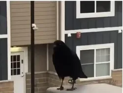 Bahaya Lihat Foto Ini Sekilas! Bikin Mata Terkecoh dan Salah Tafsir