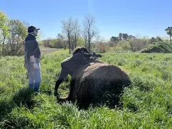 Bahaya Lihat Foto Ini Sekilas! Bikin Mata Terkecoh dan Salah Tafsir