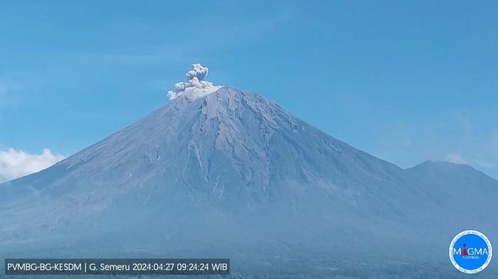 gunung semeru erupsi setinggi 800 mneter Sabtu, 27 April 2024