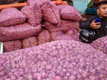 Harga Bawang Merah Mulai Turun di Palu