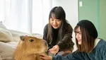 Unik! 10 Kafe Ini Ada Burung Hantu hingga Capybara untuk Temani Pelanggan