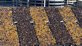 Cake Rows karya Wayne Thiebaud, 1962. Foto: Boredpanda