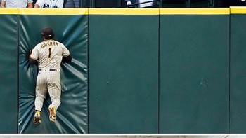 Untitled (Taxidermy Horse In Wall) karya Maurizio Cattelan, 2007. Foto: Boredpanda