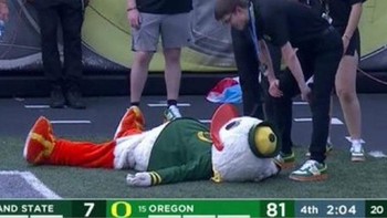 A Pointer And A Duck karya Arthur James Stark, Mid-19th Century. Foto: Boredpanda