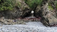 Kawasan bibir pantai ini dipenuhi dengan hamparan bebatuan unik yang rata-rata berbentuk oval.