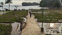 Pantai Kuyon juga tak kalah menarik, pantai tersebut viral di media sosial karena berdampingan demgan area persawahan.