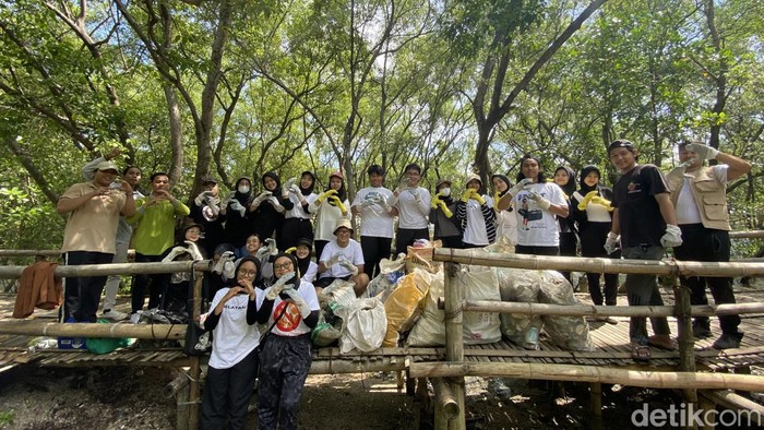 Mahasiswa Surabaya bersih-bersih Mangrove Wonorejo Surabaya.