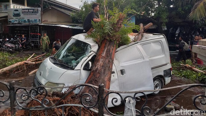 Mobil ringsek tertimpa pohon di Pasar Notoharjo, Kecamatan Pasar Kliwon, Kota Solo, Sabtu (27/4/2024).
