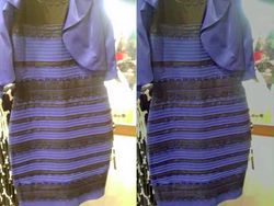 Ilusi Optik yang Memancing Perdebatan, Sempat Viral Pada Masanya