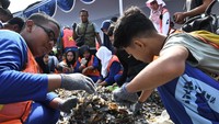 Dalam rangka memperingati hari bumi Ancol Taman Impian bersama 200 relawan melakukan restorasi 1.500 kg kulit kerang hijau untuk membersihkan air laut di perairan Teluk Jakarta.