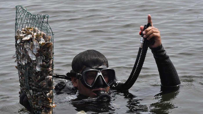 Ancol Taman Impian memperingati Hari Bumi. Mereka mengajak 200 relawan melakukan restorasi 1.500 kg kulit kerang hijau.