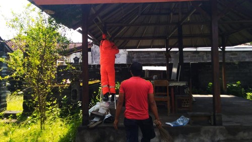 Petugas mengavakuasi sarang tawon di Karangasem, Bali.