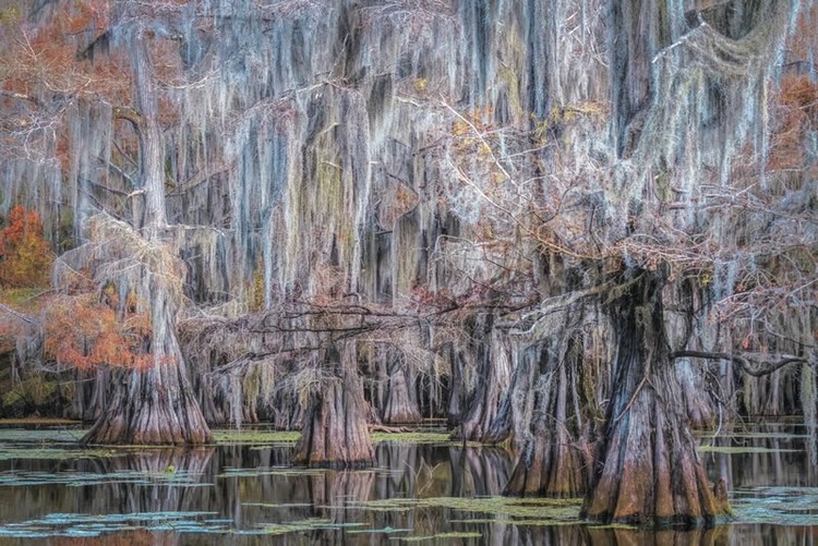 Color Photography Contest