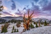 Color Photography Contest