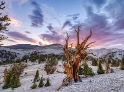 Jawara Kontes Foto Alam reFocus Awards 2024 Bikin Takjub