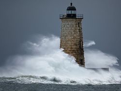 Jawara Kontes Foto Alam reFocus Awards 2024 Bikin Takjub