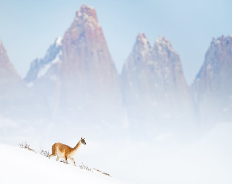 Color Photography Contest