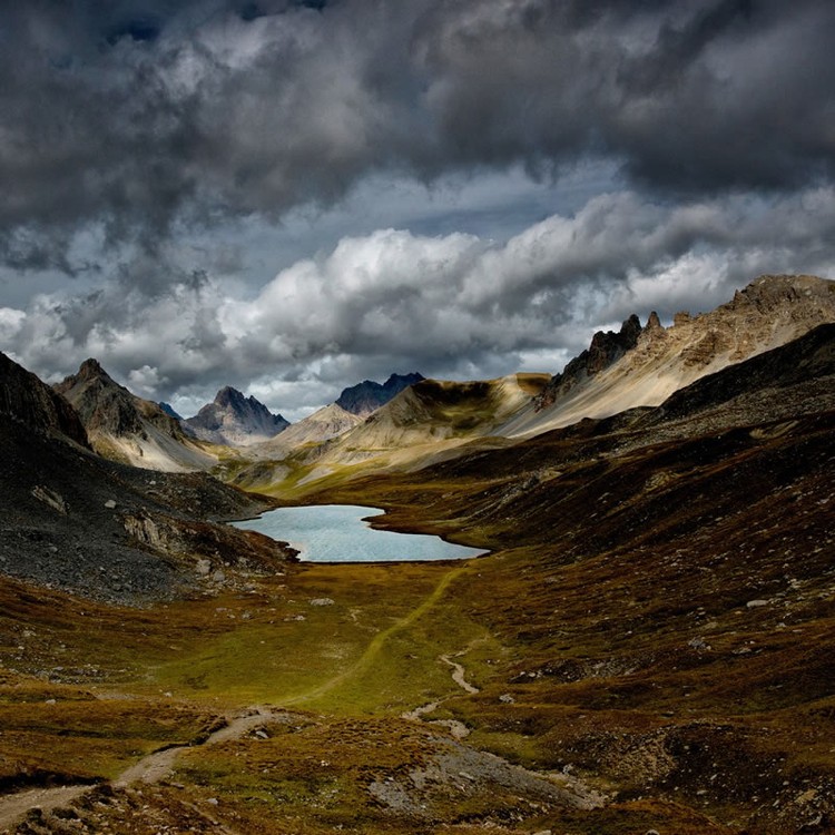 Color Photography Contest