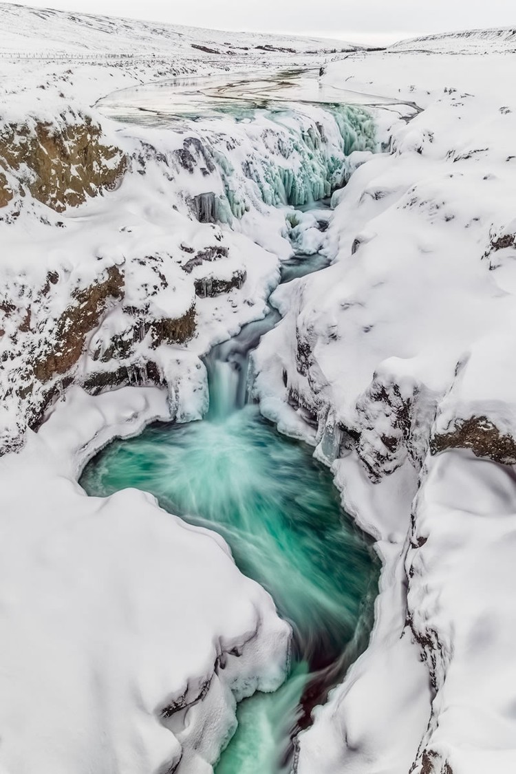 Color Photography Contest