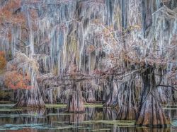 Jawara Kontes Foto Alam reFocus Awards 2024 Bikin Takjub