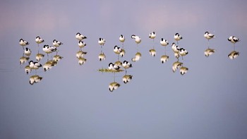 Honorable Mentions: Karya Laura MerzFoto: reFocus Awards
