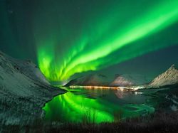 Jawara Kontes Foto Alam reFocus Awards 2024 Bikin Takjub