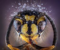 Color Photography Contest