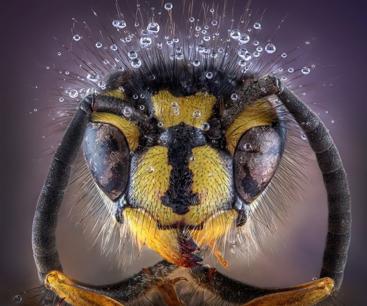 Color Photography Contest